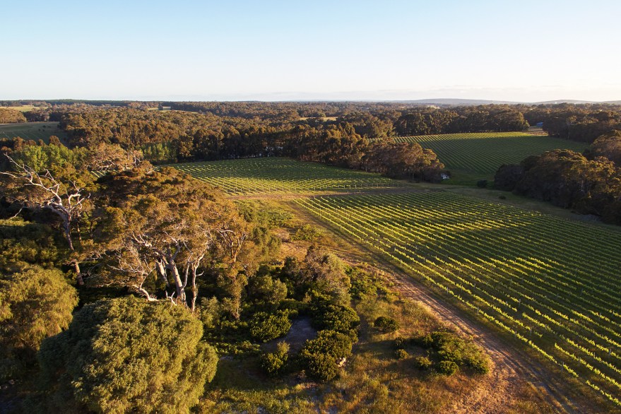 Passel bushland and vineyards