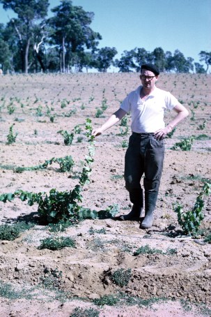 Tom Cullity (aged 43) with first Vasse Felix Vines