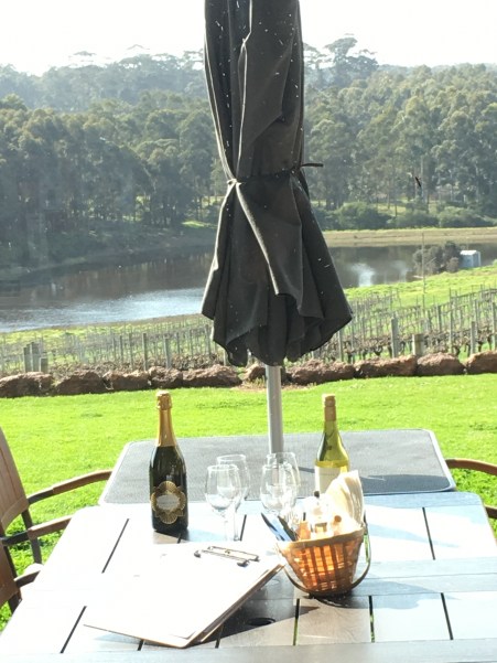 Hamilyn bay vineyards IMG_1729