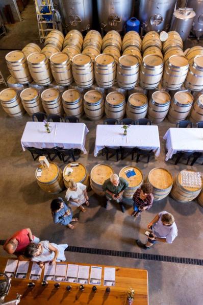 Rosily barrel room IMG_8059