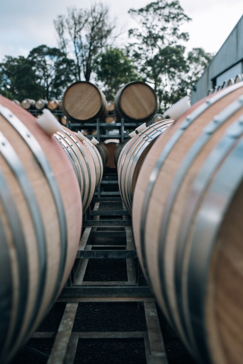 Stella Bella barrels