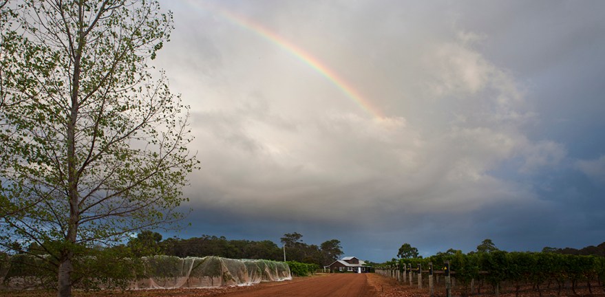Stella Bella cellar door and vineyards